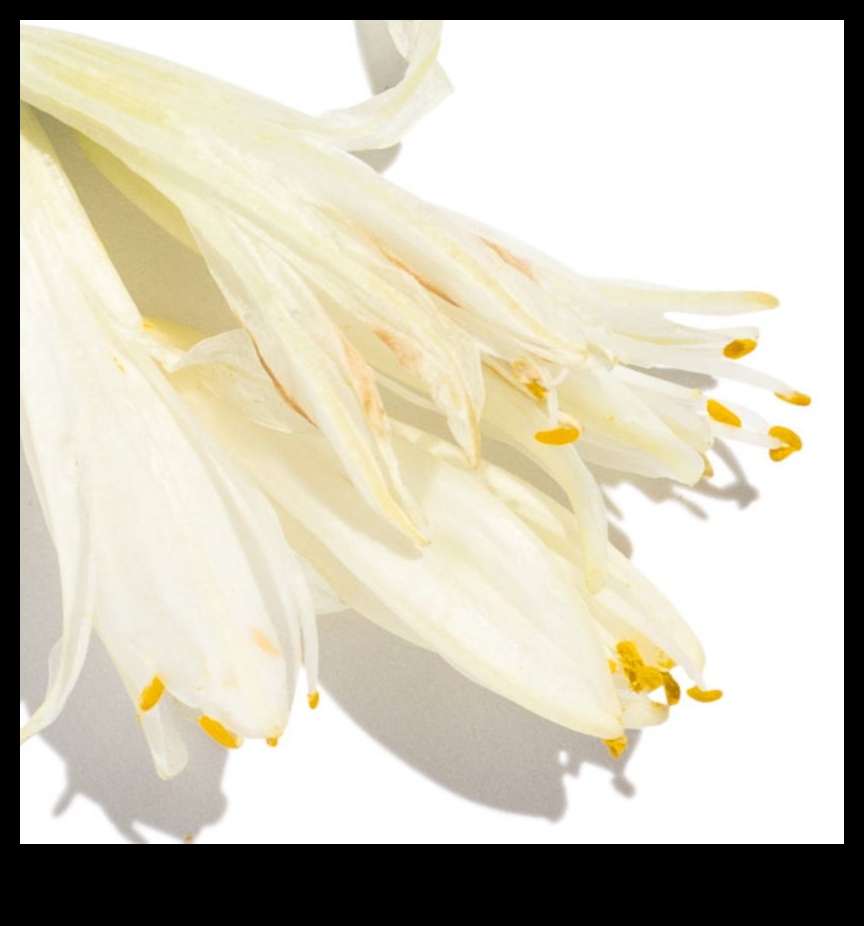 Ziedu uzlējums: Botānisko vielu ietekmes izpēte dabiskajā kosmētikā