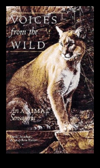 Mežonīgie stāsti: hronikas, kas veidotas dzīvnieku tetovējumos