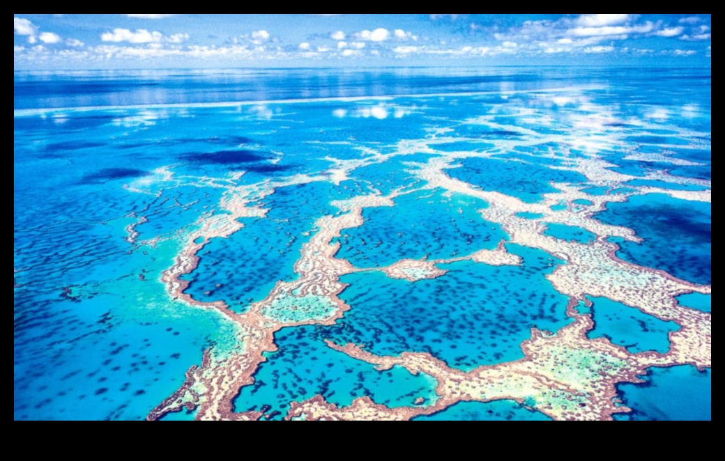 Vivid Vistas A Sightseer rokasgrāmata satriecošiem skatiem visā pasaulē 5 Vivid Vistas: Sightseer's Rokasgrāmata satriecošiem skatiem