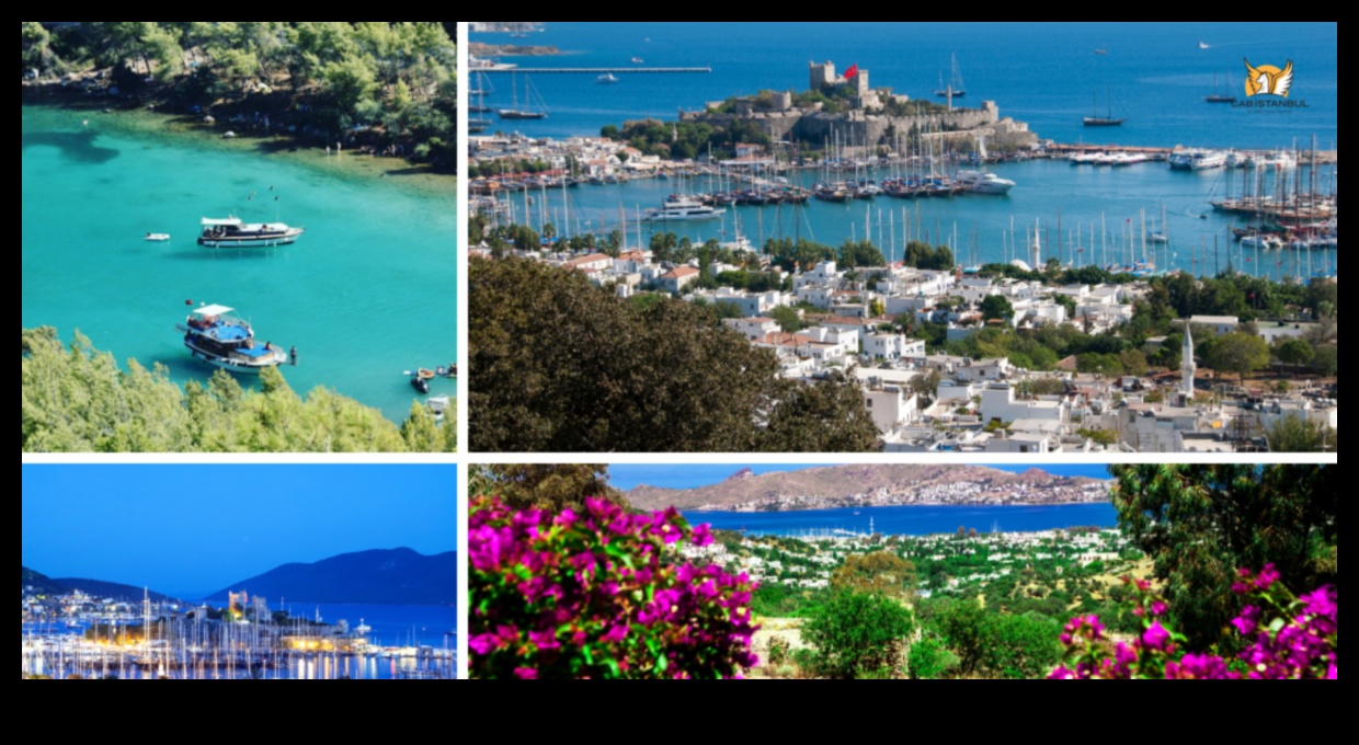 Vivid Voyages Greznu ceļojumu piedzīvojumu spektrs piedzīvojumiem bagātajai dvēselei 2 Spilgti ceļojumi: greznu ceļojumu piedzīvojumu spektrs