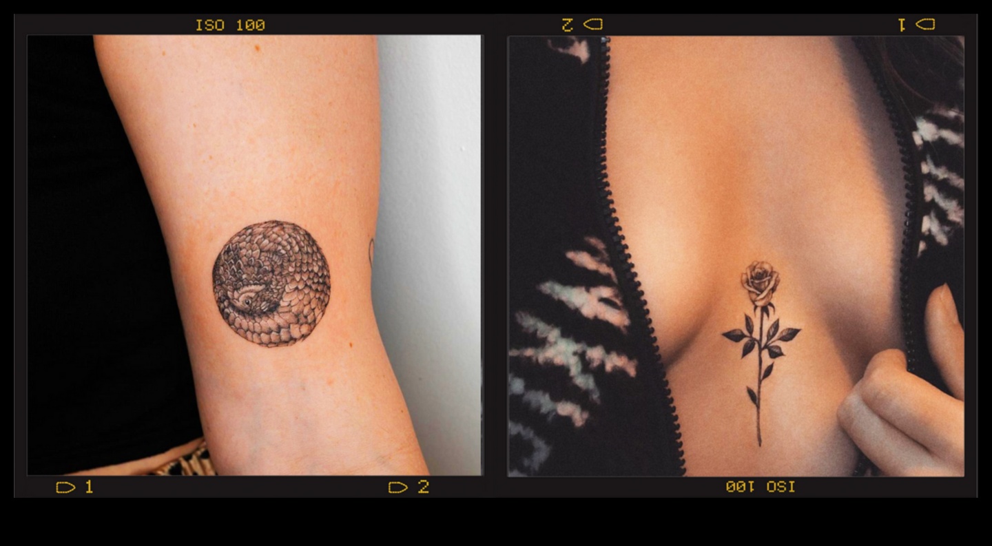 Smalki apgalvojumi: uzlabojiet savu stilu ar minimālisma tinti