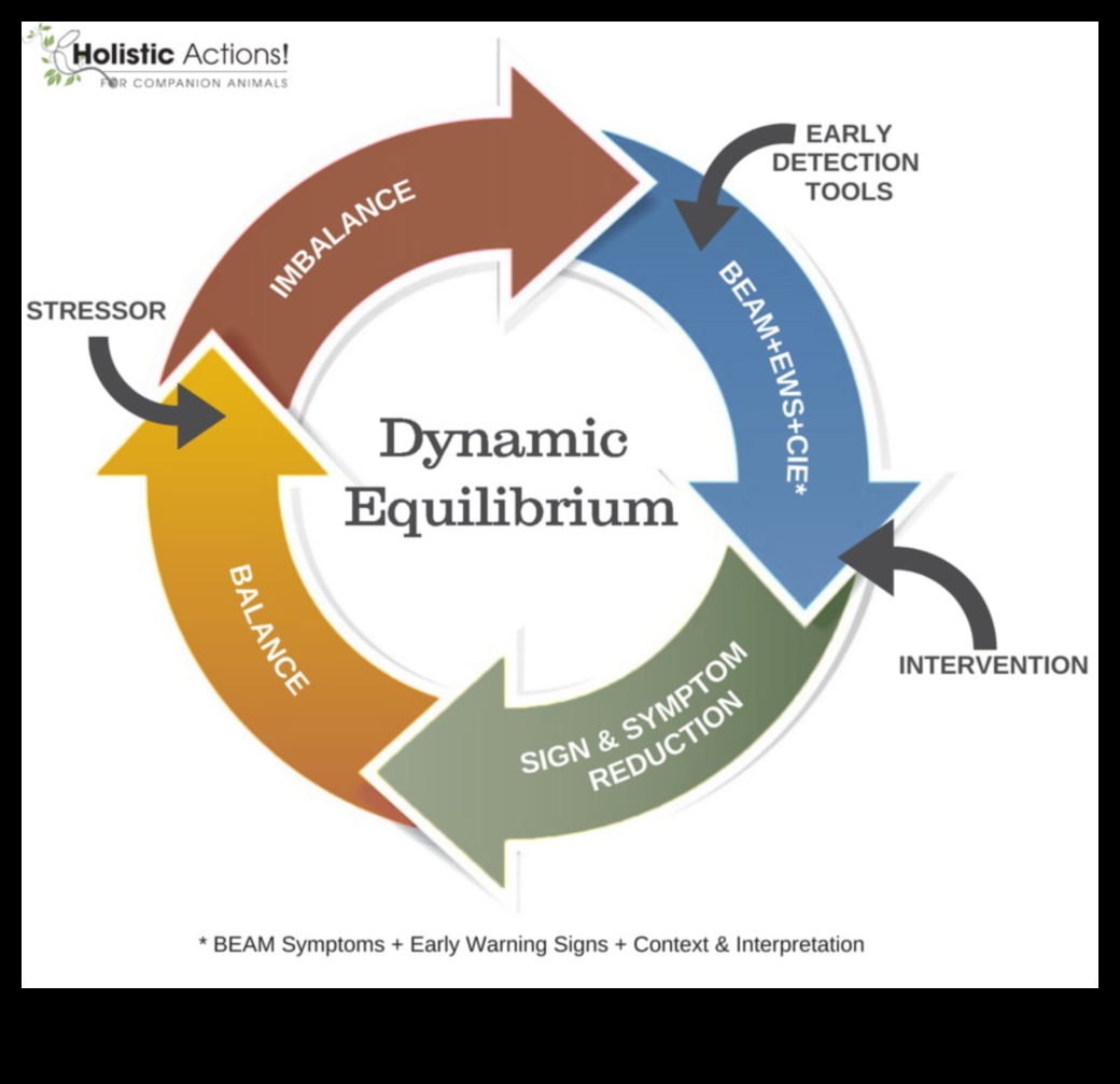 Dinamiskais līdzsvars: uzlabojiet savu fizisko sagatavotību ar stabilitātes treniņiem