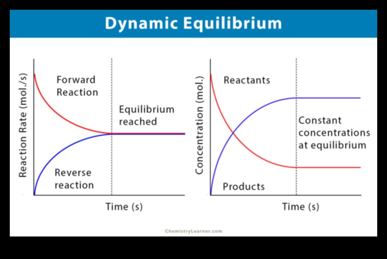 Dinamiskais līdzsvars: uzlabojiet savu fizisko sagatavotību ar stabilitātes treniņiem