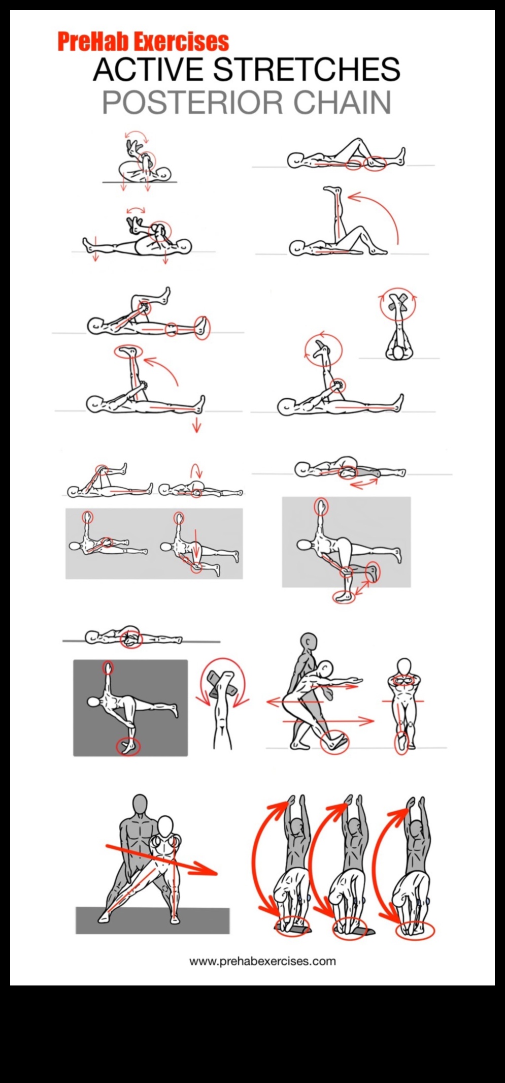 Dinamiskā stiepšanās Ceļvedis efektīvas stiepšanās mākslā 3 Dinamiskās stiepšanās dinamika: efektīvas stiepšanās mākslas izpēte
