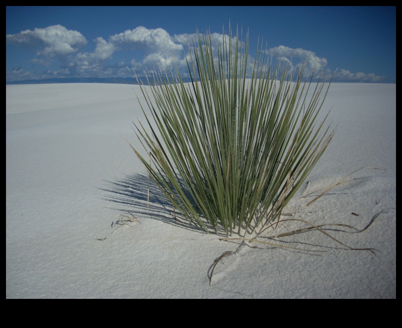 Homefront Harmony Atrodiet mieru tuvējās apskates vietās 2 Mājas harmonija: miera atrašana tuvējās apskates vietās