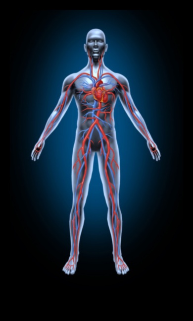 Cirkulācijas svētki Kā vingrinājumi uzlabo asins plūsmu 5 Cirkulācijas svētki: vingrinājumu pozitīvā ietekme uz asinsriti