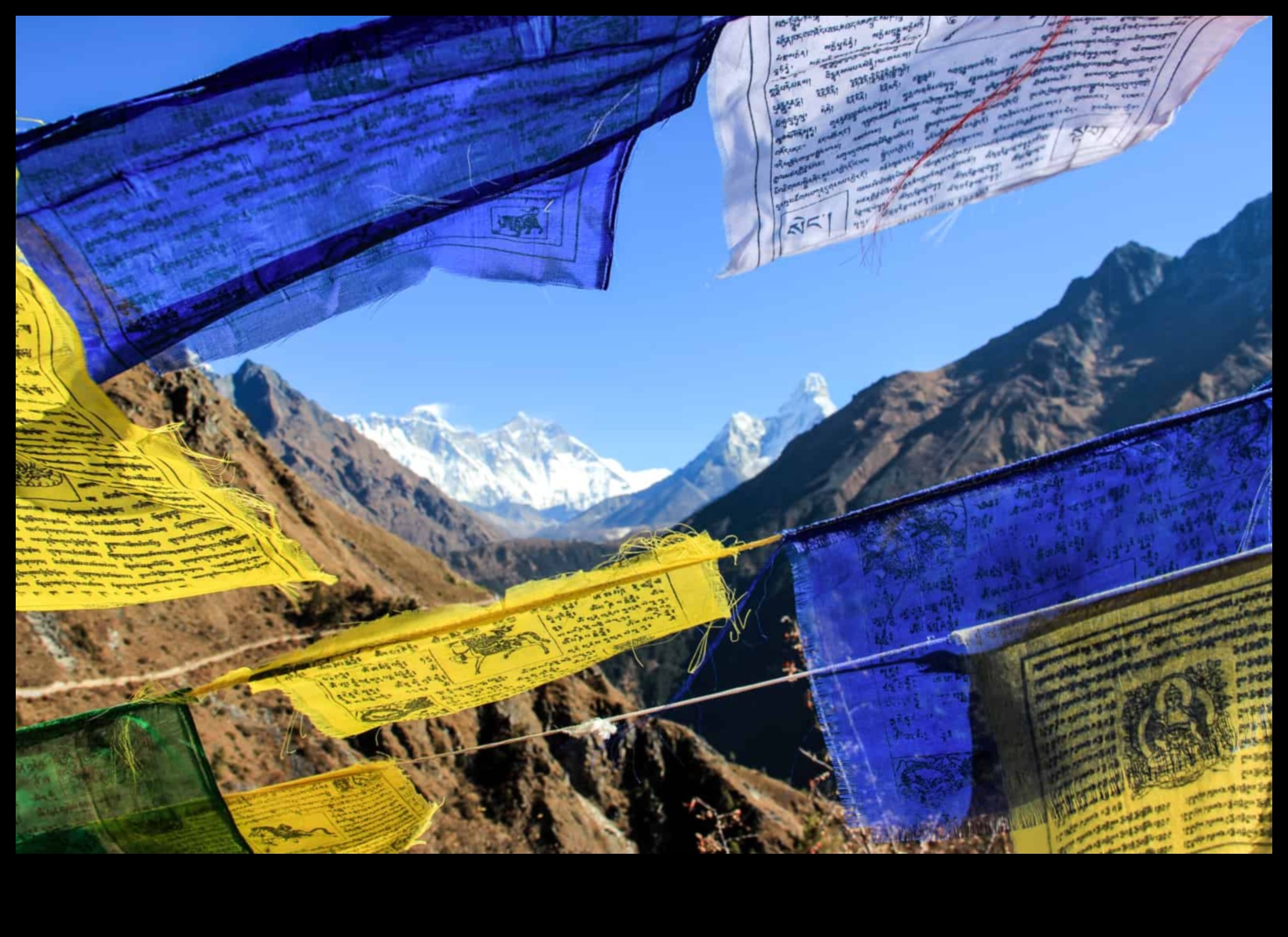 Insight Incline: kāpšana ceļojumu gudrības virsotnēs