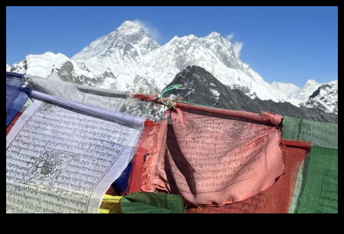 Insight Incline: kāpšana ceļojumu gudrības virsotnēs