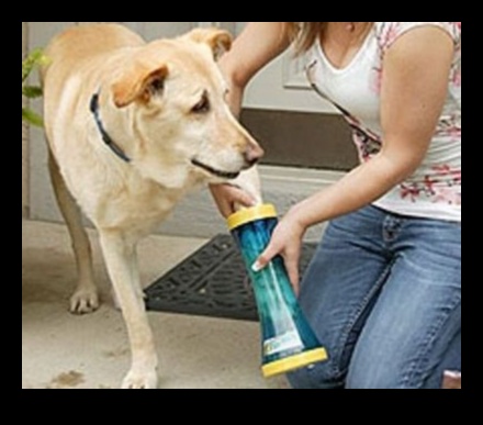 Ķepas un rotaļas dāvanas četrkājainajiem draugiem 2 Paws and Play: dāvanas četrkājainajiem draugiem