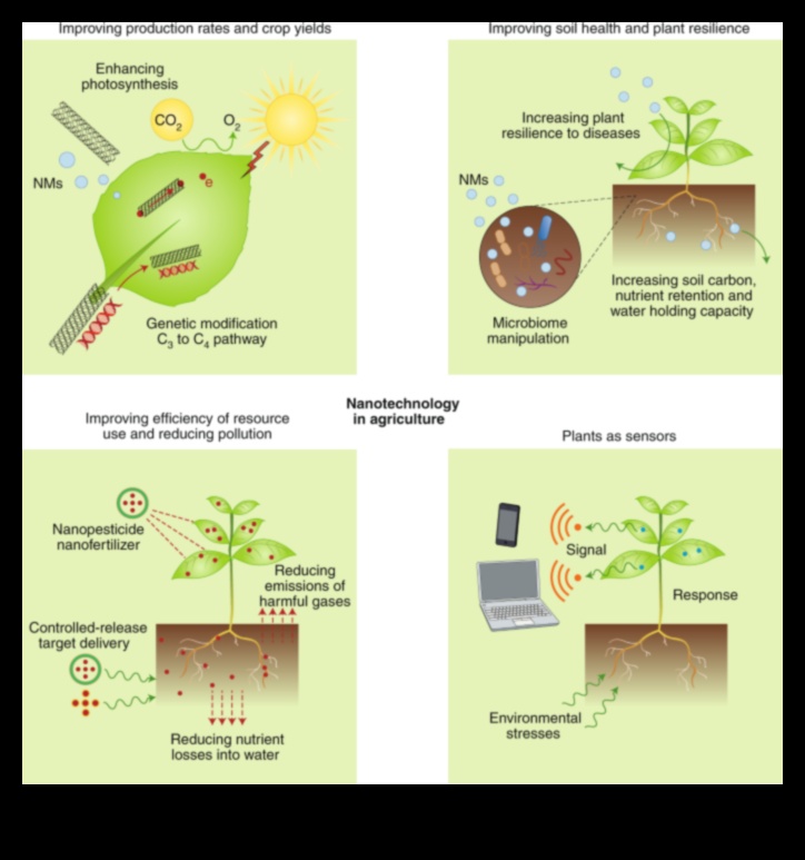 Pixel Perfect Precision: precizitātes sasniegšana nanotehnoloģiskos risinājumos