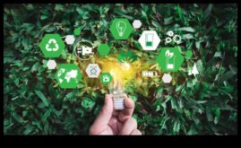 Green Mavericks ievieš videi draudzīgus risinājumus radošajā mākslā