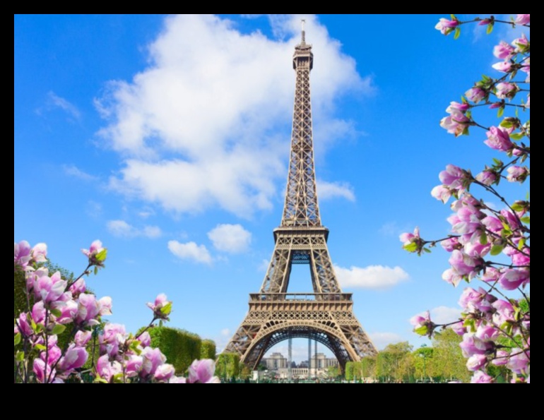 Ideāls attēls: fokusa apskates ieteikumi