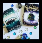 Wayfarer’s Wisdom Ceļojumu ieskatu bibliotēka nesenā ceļotājam